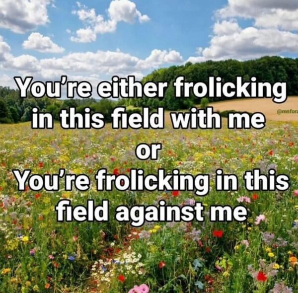 You're either frolicking in this field with me @mnfor or You're frolicking in this field against me