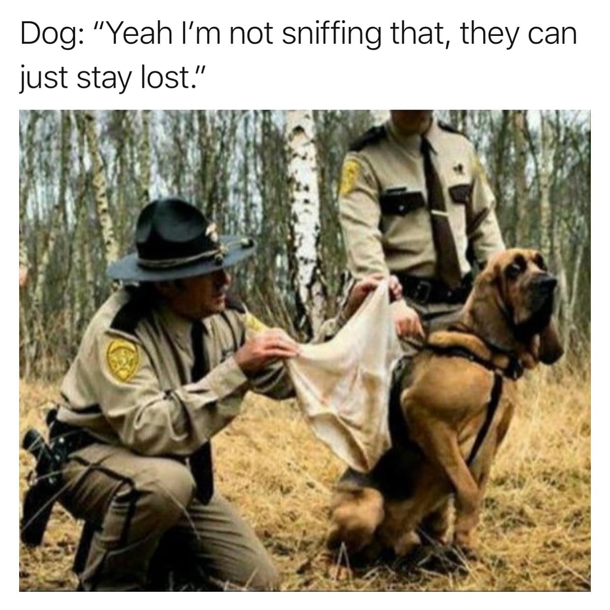 Dog: "Yeah I'm not sniffing that, they can just stay lost."
