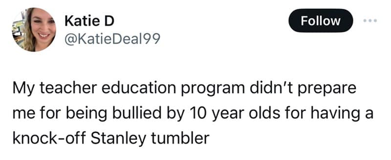 My teacher education program didn't prepare me for being bullied by 10 year olds for having a knock-off Stanley tumbler