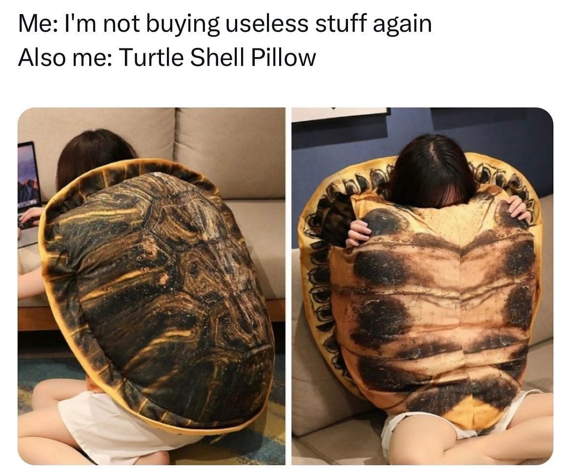 Me: I'm not buying useless stuff again Also me: Turtle Shell Pillow