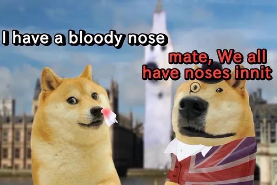 I have a bloody nose mate, We all have noses innit