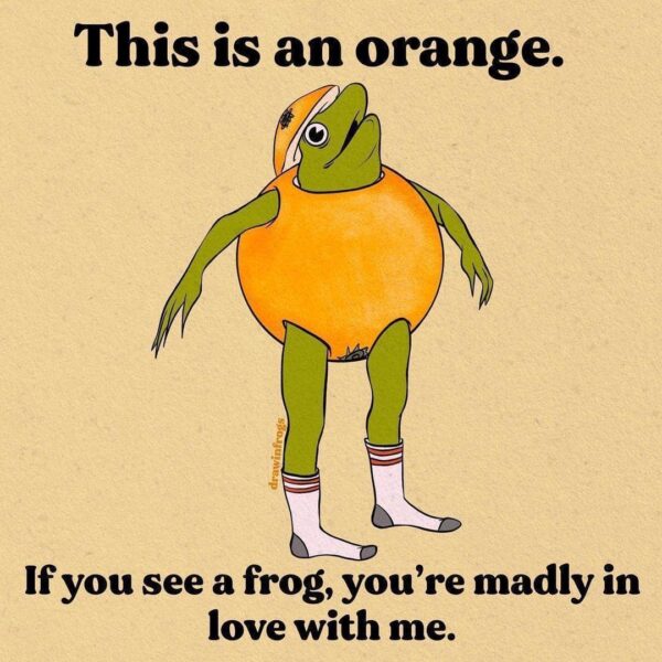 This is an orange. If you see a frog, you're madly in love with me.