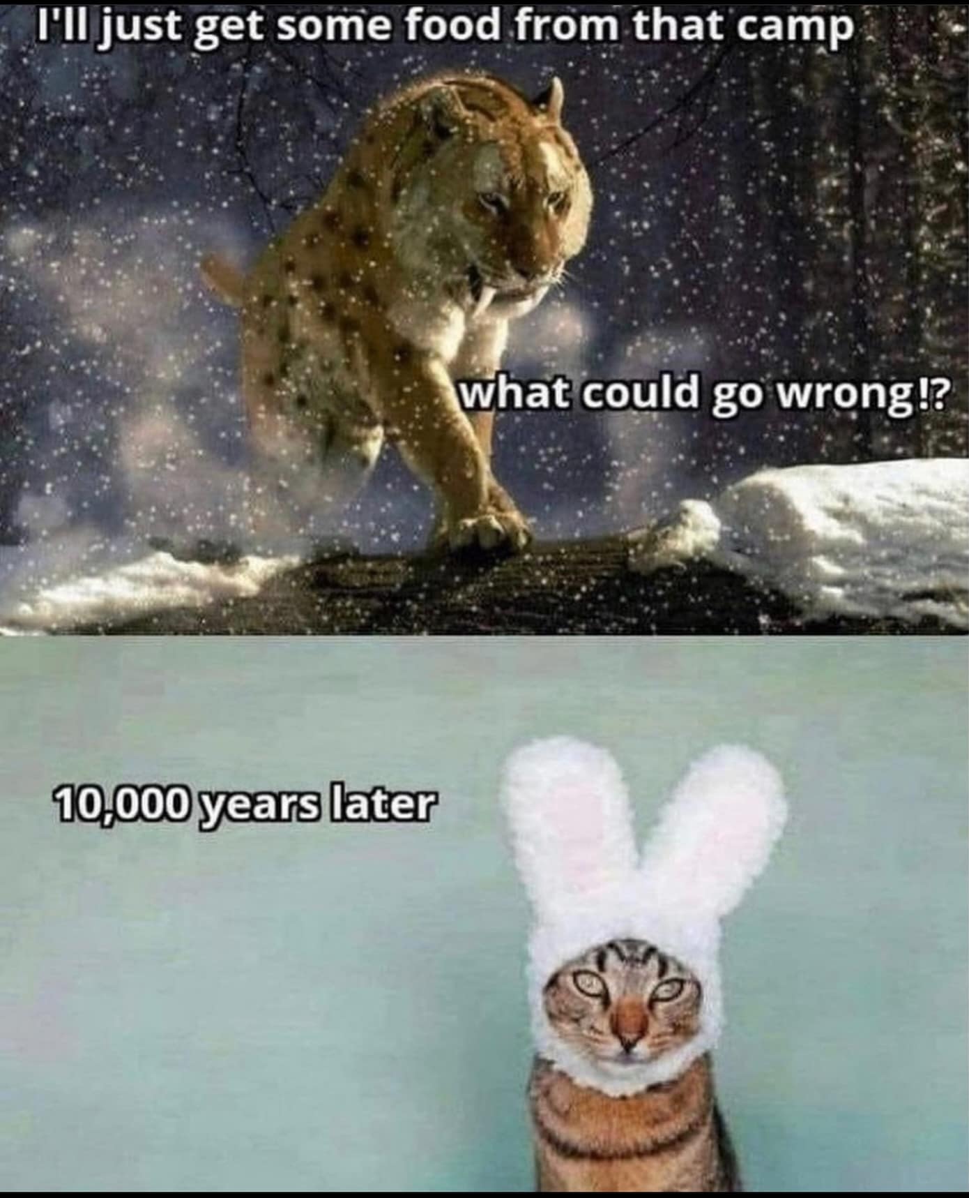 I'll just get some food from that camp what could go wrong!? 10,000 years later