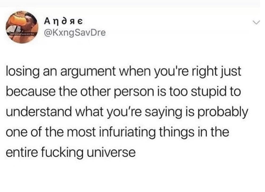 losing an argument when you're right just because the other person is too stupid to understand what you're saying is probably one of the most infuriating things in the entire universe