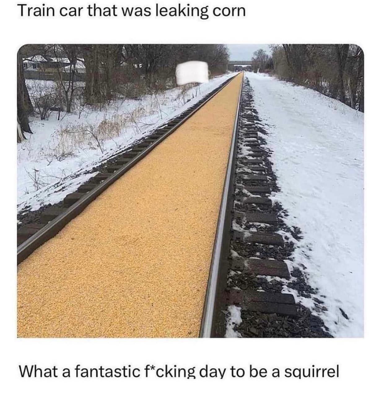 Train car that was leaking corn
