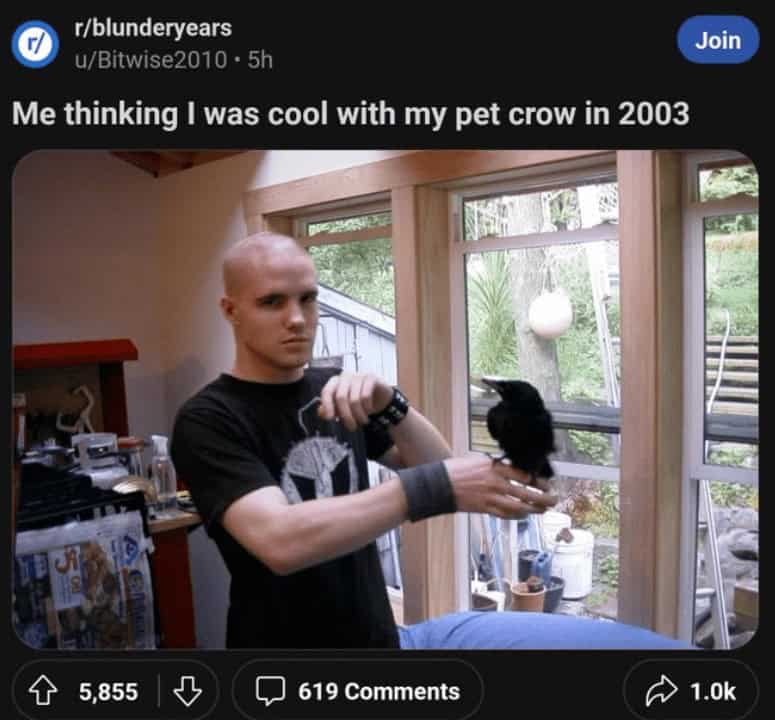 funny reddit posts, Weird Reddit Posts, Hilarious Online Communities, Unexpected Internet Humor, Strange Online Content, Bizarre Web Finds, Peculiar Social Media