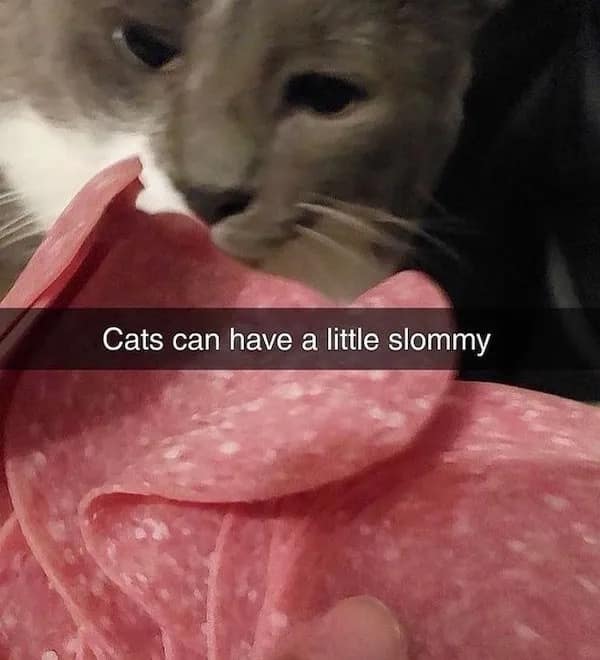 meme dump, hilarious memes, funny memes, entertaining memes, Afternoon pick-me-up, mid-day energy boost, humor break) Social media humor, online entertainment, internet funny content