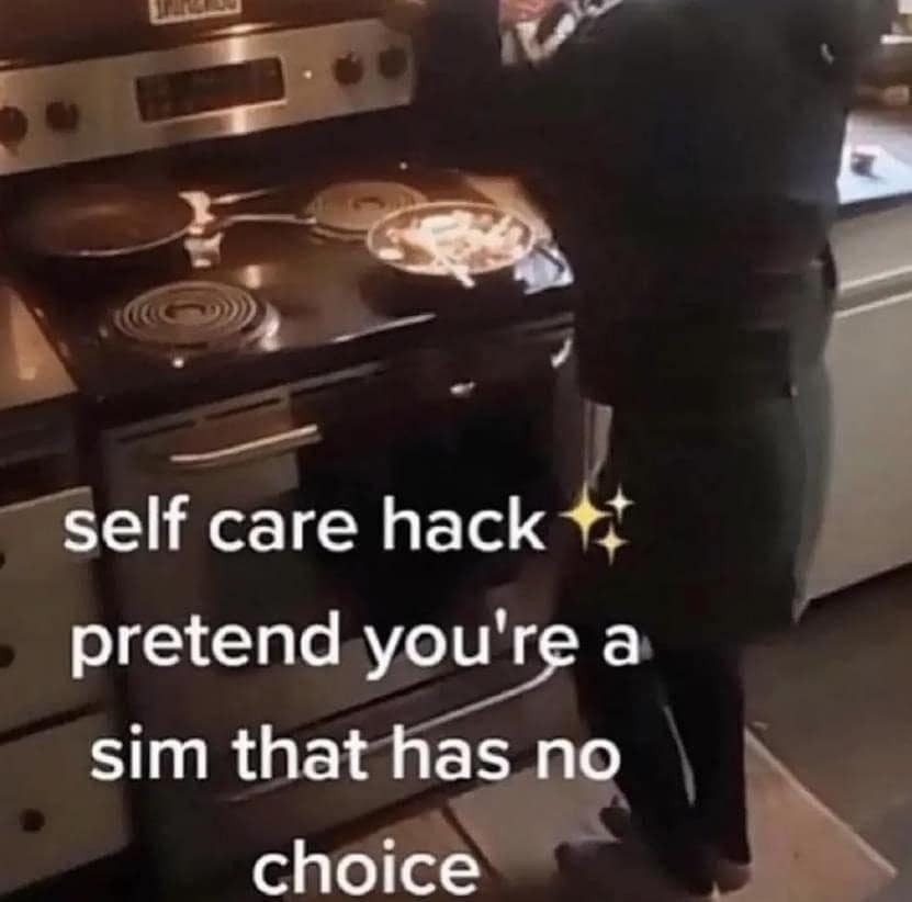 meme dump, funny memes, hilarious memes