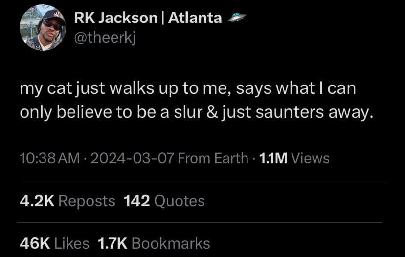 meme dump, hilarious memes, funny memes, Lunch Break Entertainment, Hilarious Image Collection, Meme Compilation, Uplifting Online Content, Laughter Break, daily memes