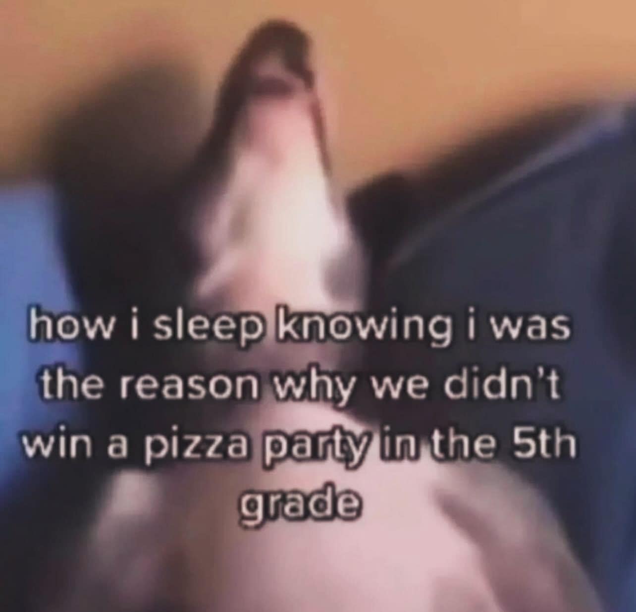 meme dump, hilarious memes, funny memes, best memes, daily memes, lunch break memes, daily laughs, internet comedy, humor compilation, meme buffet, comedy roundup, fresh memes