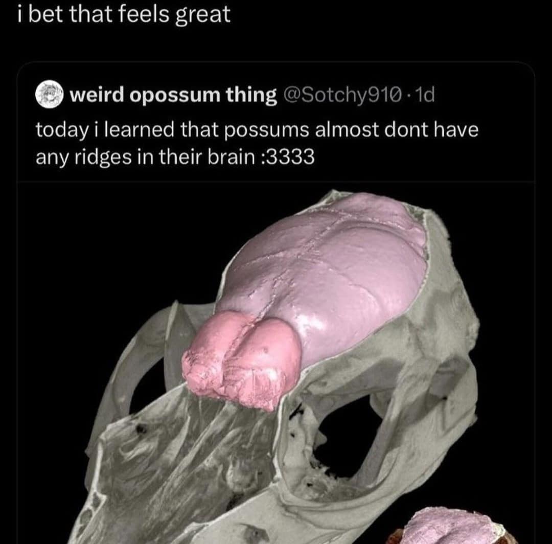 meme dump, hilarious memes, fresh memes, Weekend meme collection, Saturday laughter cure