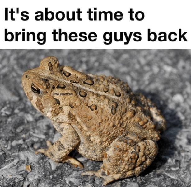 funny memes about the Midwest, relatable memes, Midwestern life, memes from the Midwest, Midwestern humor, regional memes