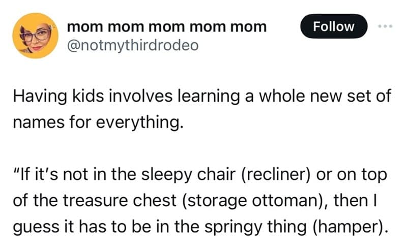 parenting memes, funny parenting tweets, toddler turmoil, diaper dilemmas, tiny human tales