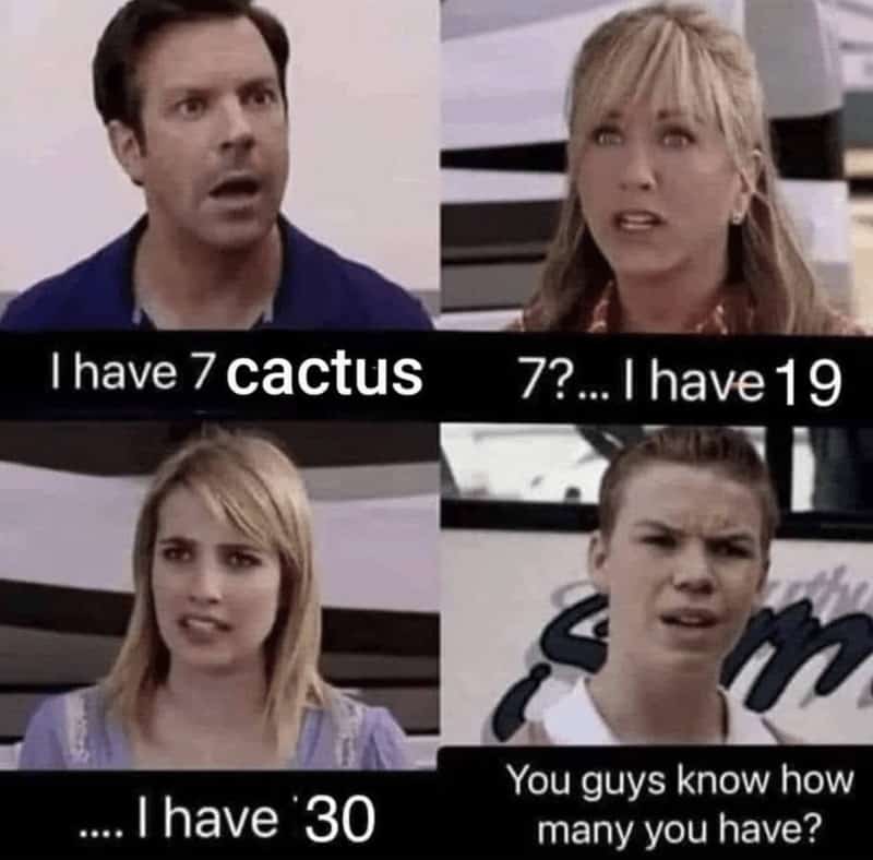 plant memes, plant parent, Plant parent jokes, Memes about houseplants