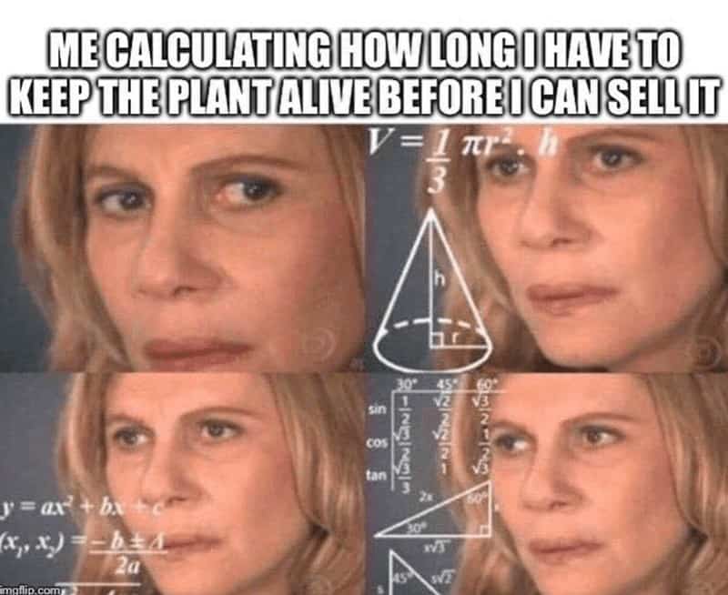 ME CALCULATING HOW LONG I HAVE TO KEEP THE PLANT ALIVE BEFORE I CAN SELL IT