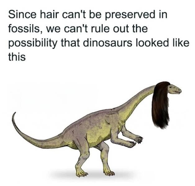 science memes, Scientific Humor, lab humor, research humor, Funny Science Facts, entertaining science facts, amusing science discoveries, STEM Jokes, science, technology, engineering, and mathematics jokes