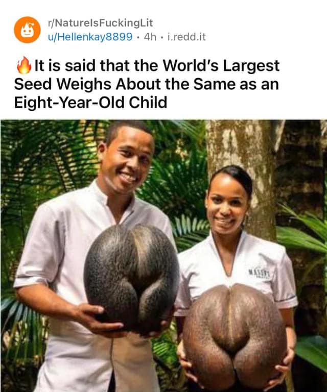 spicy memes, sexy memes, Risqué Memes, Playful Online Content, Double Entendre Humor