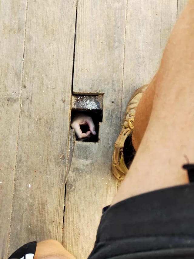 spicy memes, sexy memes, Risqué Memes, Playful Online Content, Double Entendre Humor