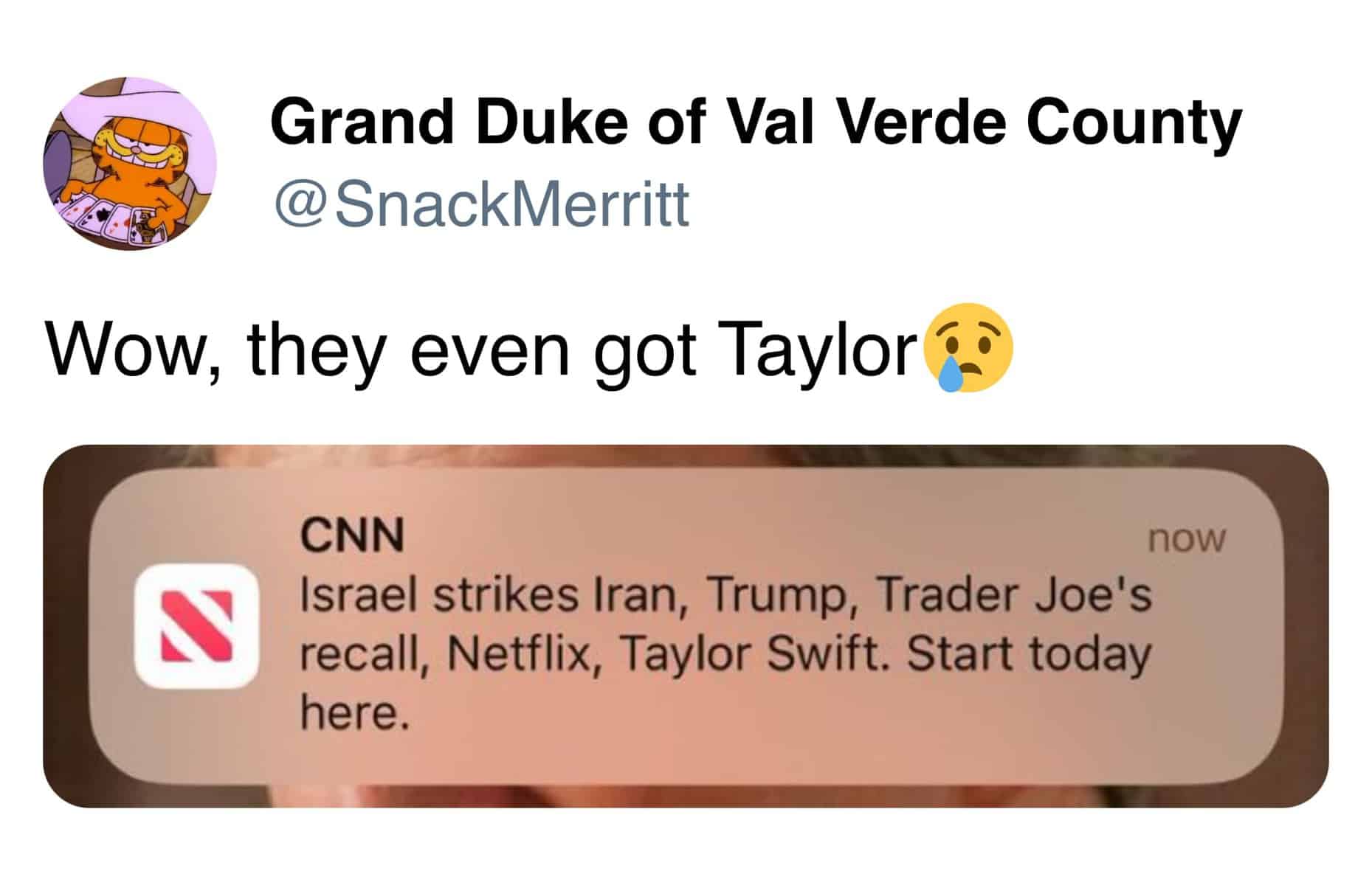 taylor swift memes, swiftie memes, t-swift memes, taylor swift new album, tortured poets department memes