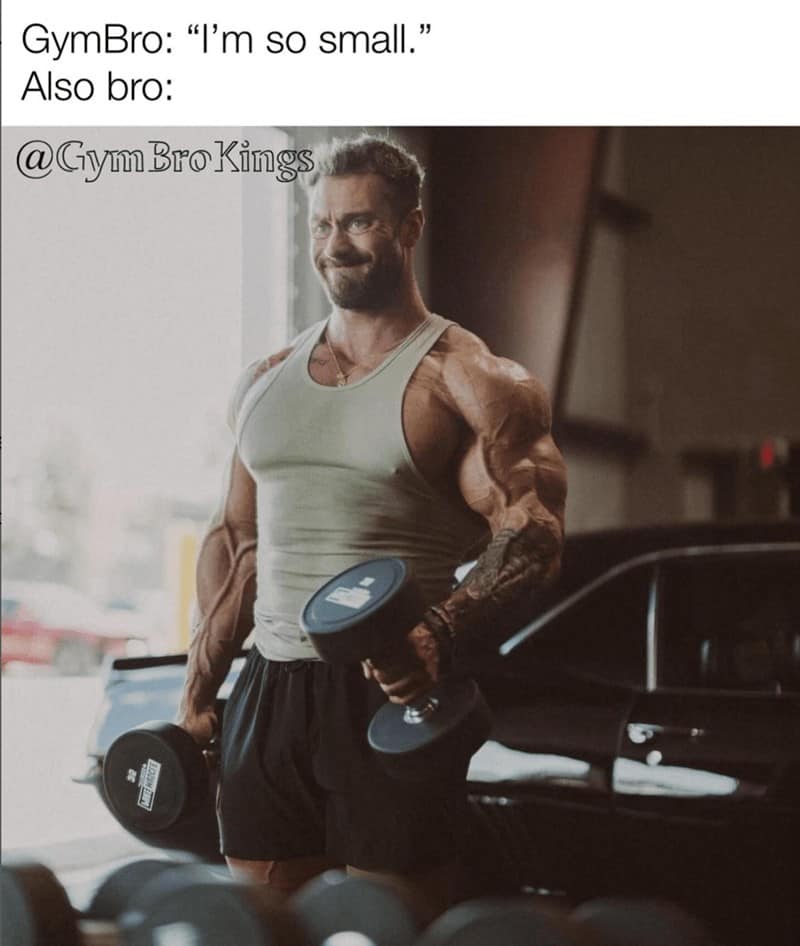 GymBro: "I'm so small." Also bro: