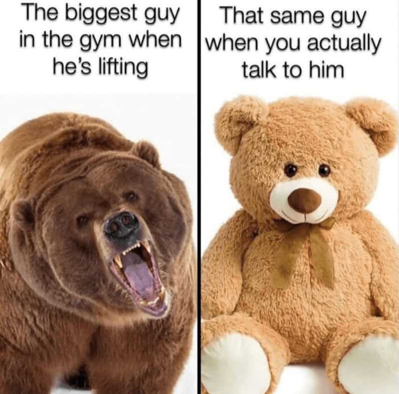 The biggest guy in the gym when he's lifting That same guy when you actually talk to him