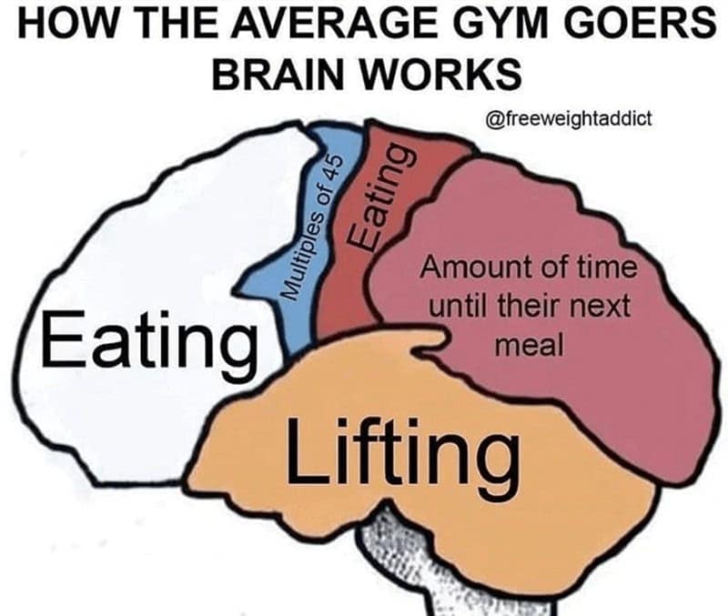 HOW THE AVERAGE GYM GOERS BRAIN WORKS @freeweightaddict Multiples of 45 Eating Eating Amount of time until their next meal Lifting