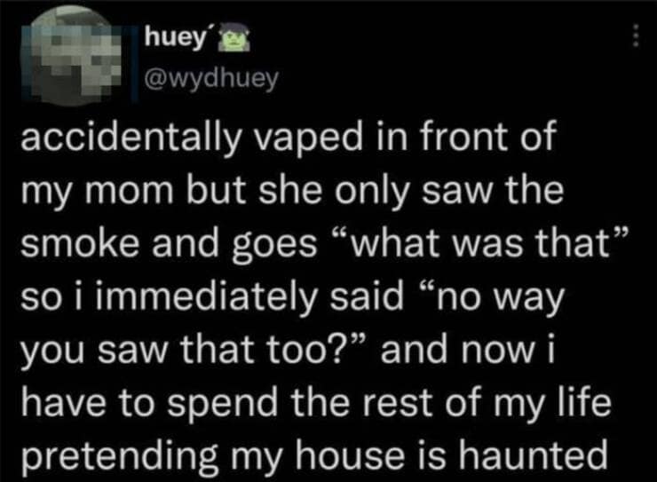 accidentally vaped in front of my mom but she only saw the smoke and goes "what was that" so i immediately said "no way you saw that too?" and now i have to spend the rest of my life pretending my house is haunted