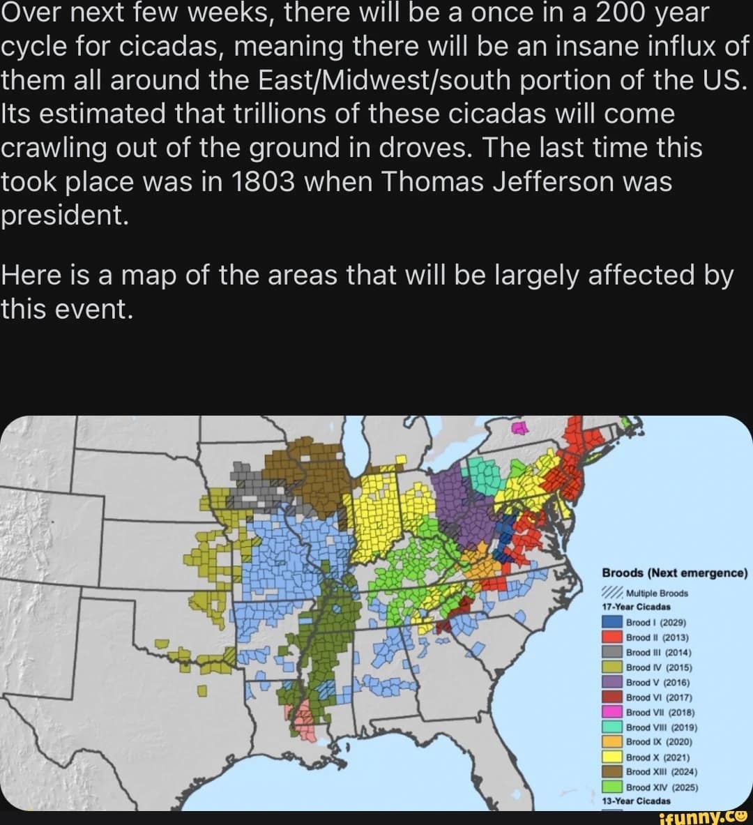 cicada memes, cicadas, brood X, Brood X emergence memes, 17-year cicada memes, Periodical cicada humor, Cicada apocalypse memes, Funny insect memes, Animal life cycle memes