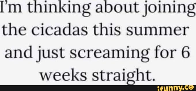 cicada memes, cicadas, brood X, Brood X emergence memes, 17-year cicada memes, Periodical cicada humor, Cicada apocalypse memes, Funny insect memes, Animal life cycle memes