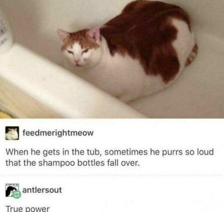 classic memes, vintage memes, viral tweets