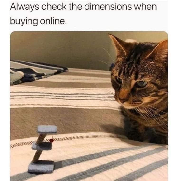 classic memes, vintage memes, old memes, viral tweets, trending tweets, Iconic tweets, Funny internet trends, Popular memes, Nostalgic online humor, Throwback memes