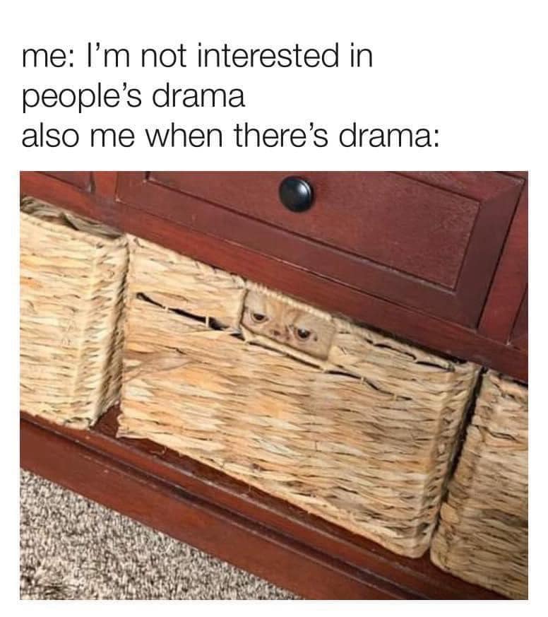 classic memes, vintage memes, old memes, viral tweets, trending tweets, Iconic tweets, Funny internet trends, Popular memes, Nostalgic online humor, Throwback memes