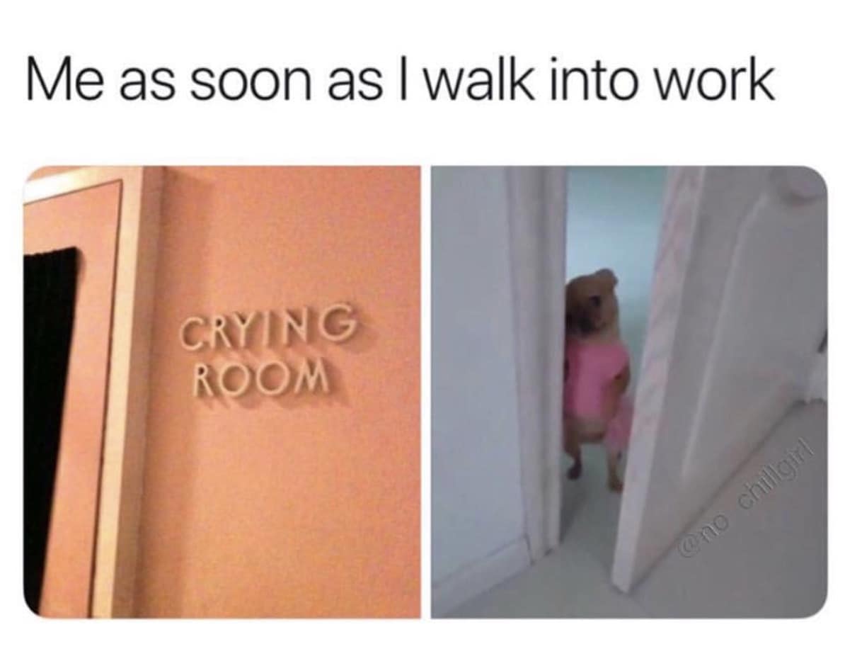 classic memes, vintage memes, viral tweets, viral trends, internet humor, pop culture references, timeless memes, online laughs, digital nostalgia