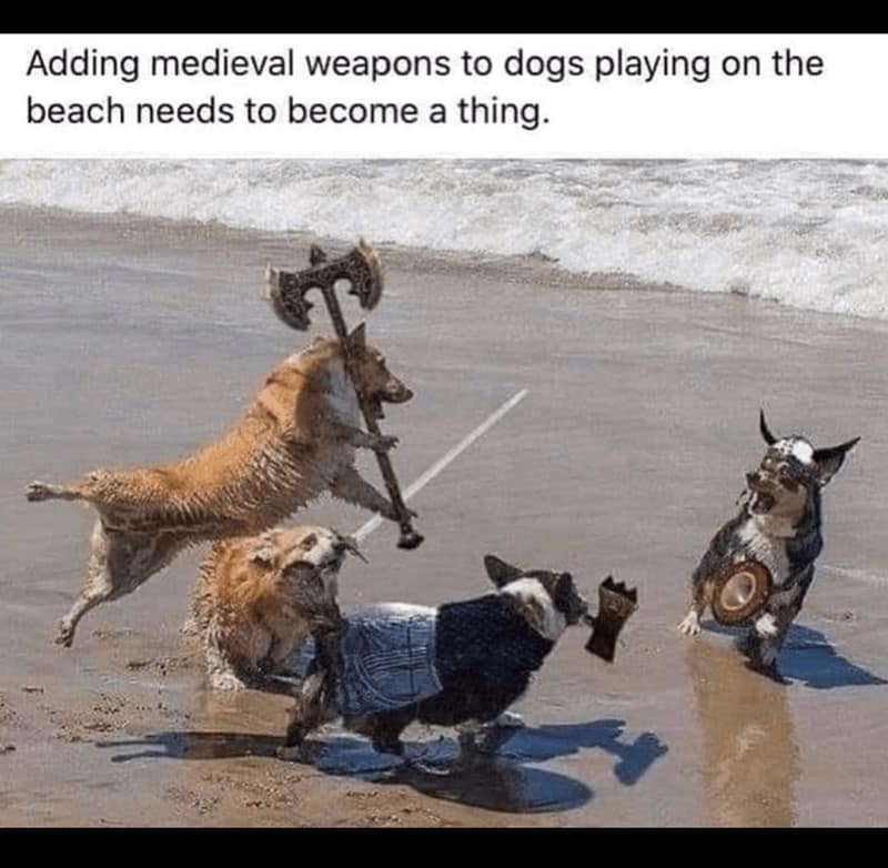 classic memes, vintage memes, viral tweets, viral memes, funny memes, internet memes, throwback memes, nostalgia memes, timeless memes, legendary memes, meme hall of fame, internet humor staples