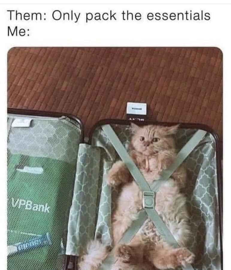 classic memes, viral tweets, vintage memes, Timeless Online Humor, Iconic Internet Moments, Enduring Online Trends, Legendary Social Media Posts