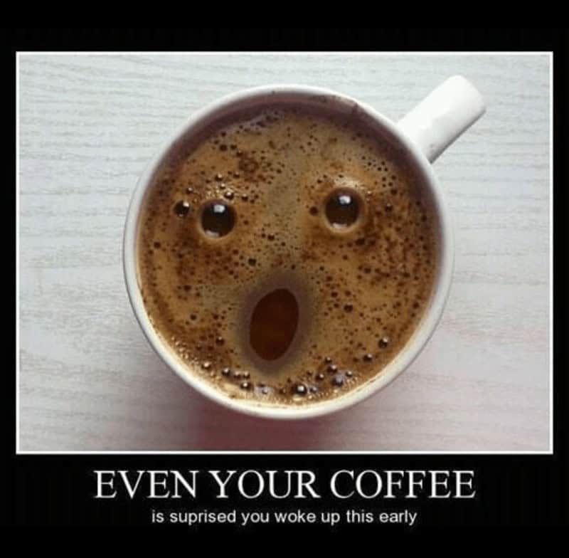 EVEN YOUR COFFEE is suprised you woke up this early