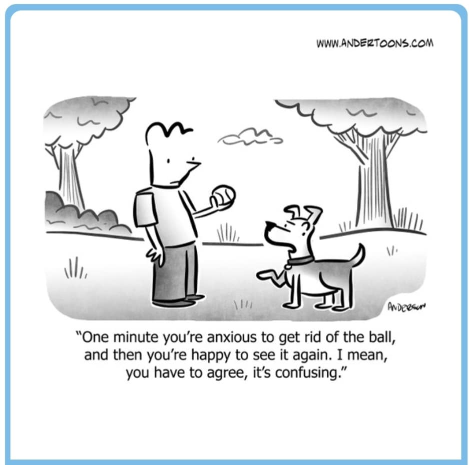 dog memes, doggo memes, funny dog memes, hilarious dog memes, best dog memes, canine memes, pup memes, amusing dog memes