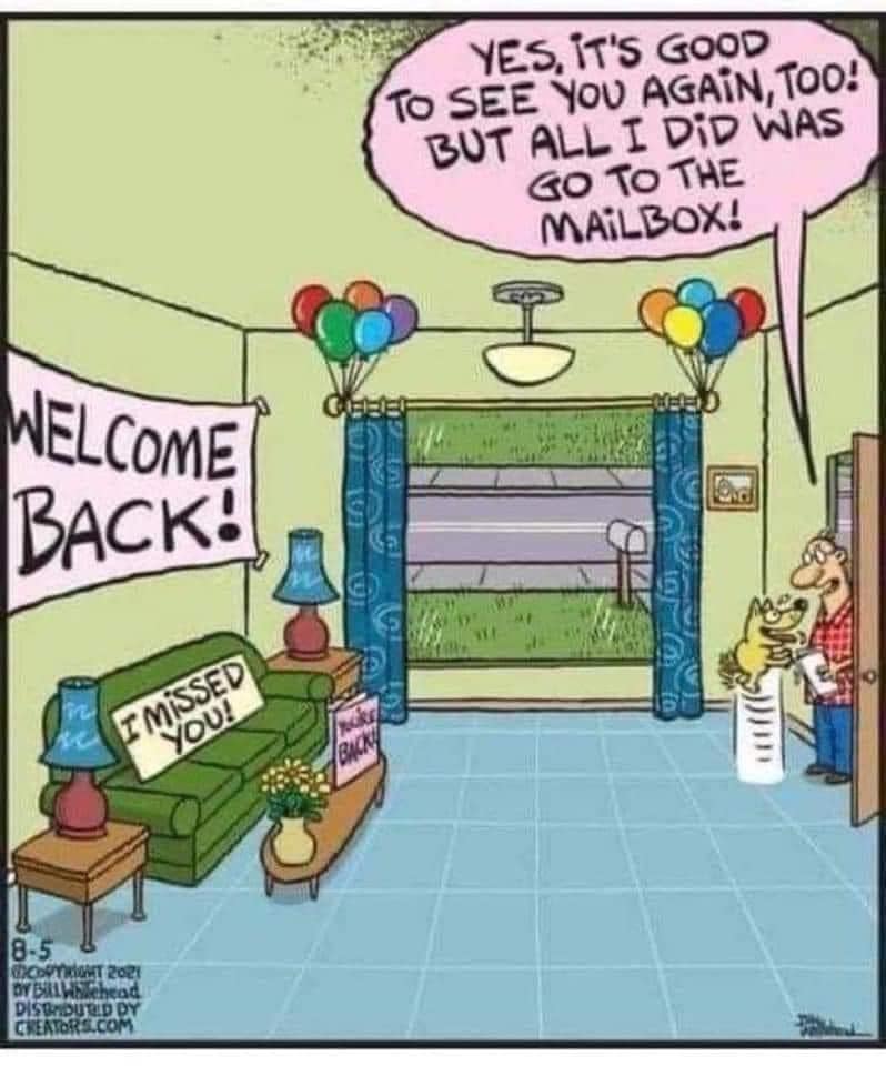 dog memes, doggo memes, funny dog memes, hilarious dog memes, best dog memes, canine memes, pup memes, amusing dog memes