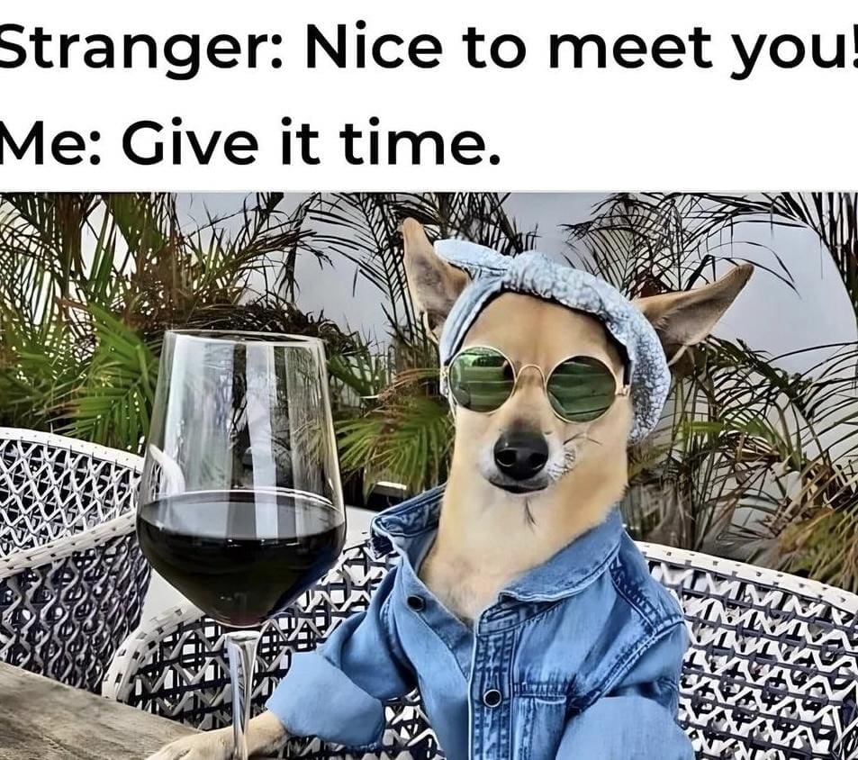 dog memes, doggo memes, funny dog memes, hilarious dog memes, best dog memes, canine memes, pup memes, amusing dog memes