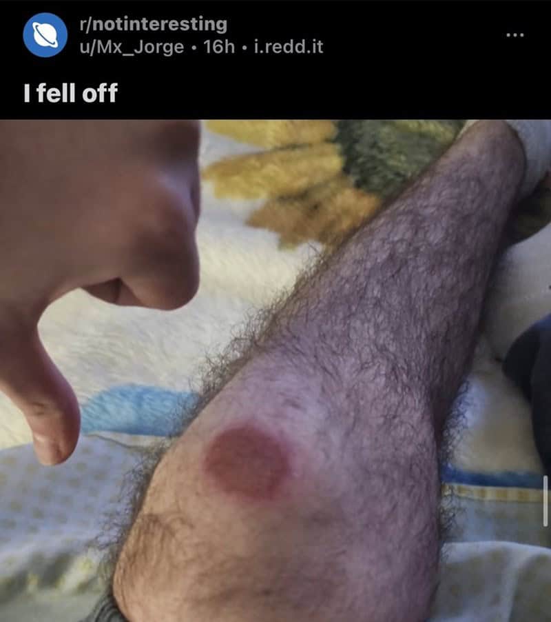 funniest reddit posts.