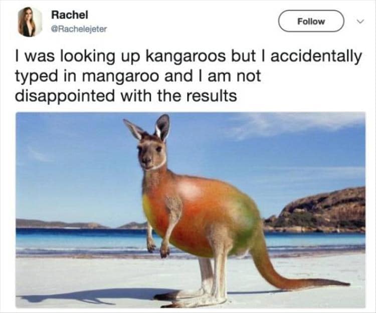 I was looking up kangaroos but I accidentally typed in mangaroo and I am not disappointed with the results