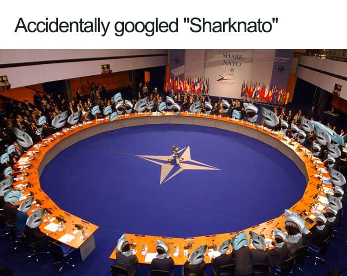 Accidentally googled "Sharknato"