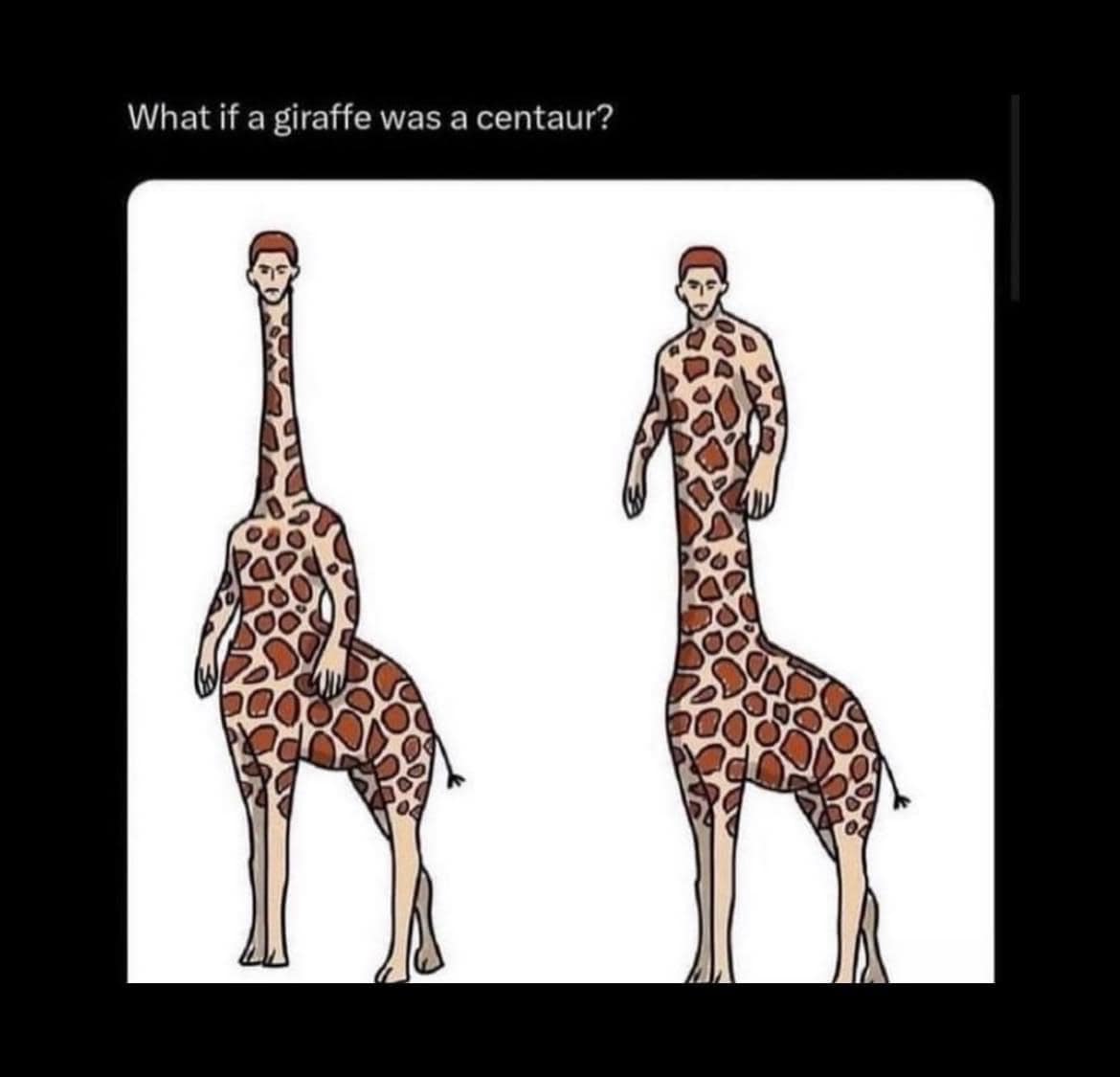 funny memes. What if a giraffe was a centaur?