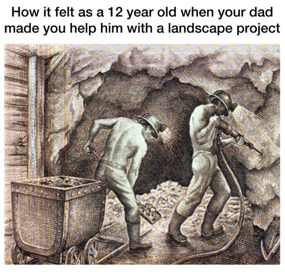 funny memes, funny images, funny pics, funniest memes