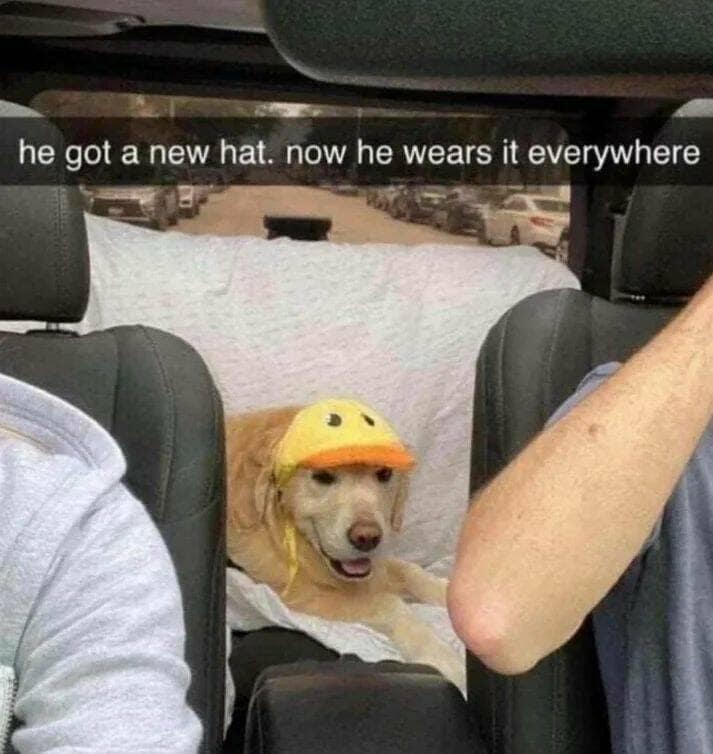 funny memes. he got a new hat. now he wears it everywhere