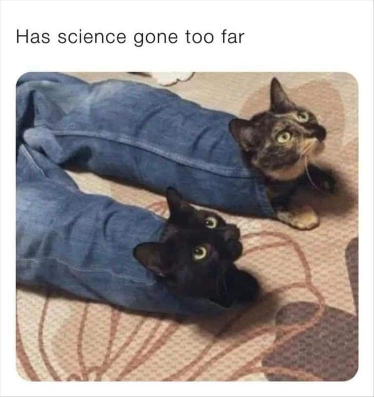 funny memes. Has science gone too far