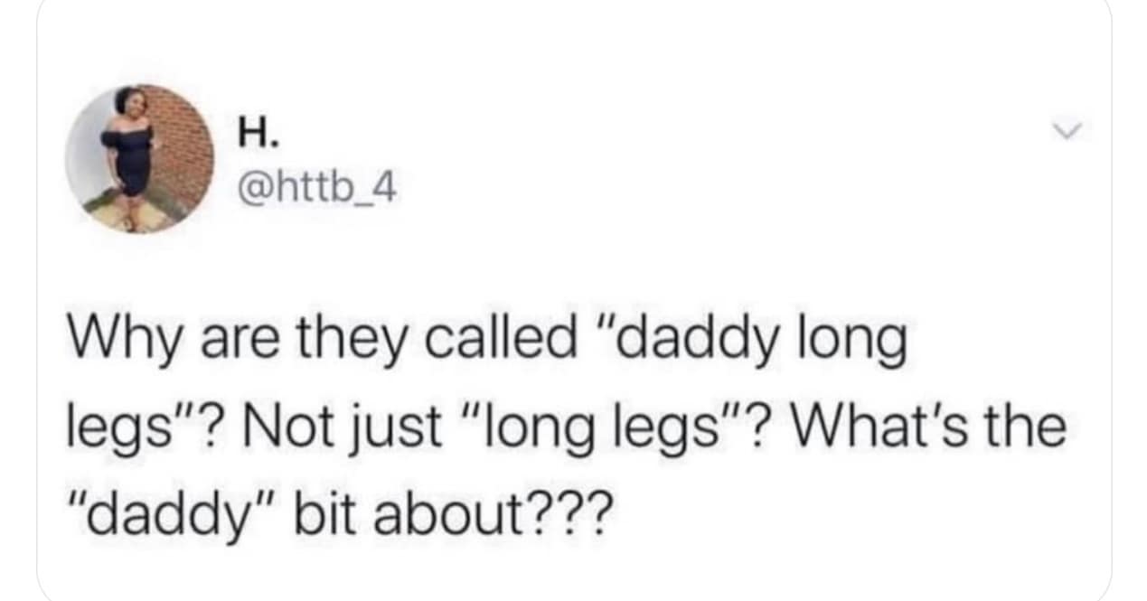 Why are they called "daddy long legs"? Not just "long legs"? What's the "daddy" bit about???