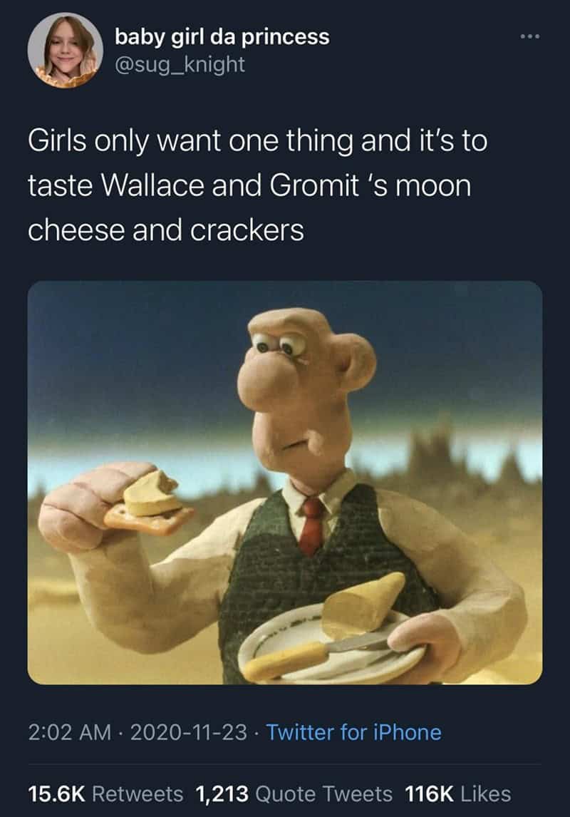 funny observations. Girls only want one thing and it's to taste Wallace and Gromit 's moon cheese and crackers