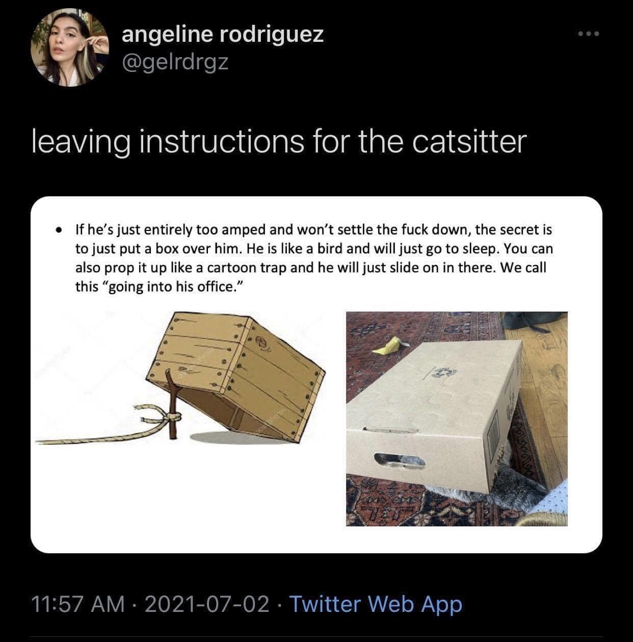 funny pics. leaving instructions for the catsitter • If he's just entirely too amped and won't settle the fuck down, the secret is to just put a box over him. He is like a bird and will just go to sleep. You can also prop it up like a cartoon trap and he will just slide on in there. We call this "going into his office."