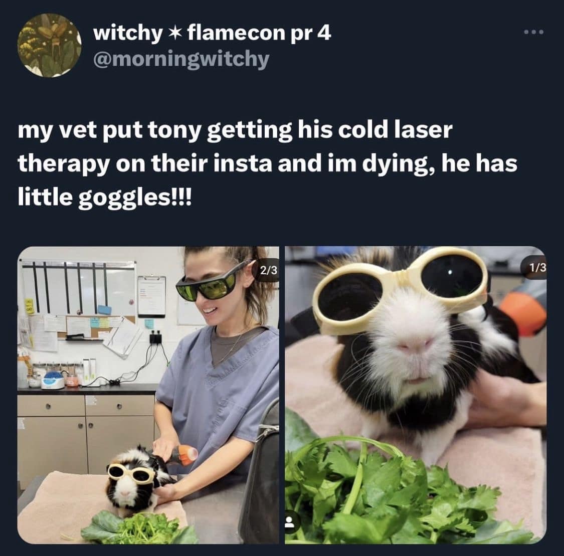 finny pics, funny memes, funny photos, funniest pictures